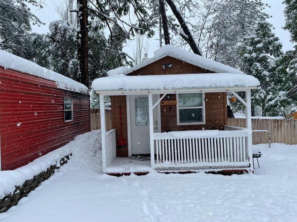 Acorn Cottage - Hidden Gem In Green Heaven, Getaway To Bass Lake & Yosemite โอกเฮิร์สต์ ภายนอก รูปภาพ